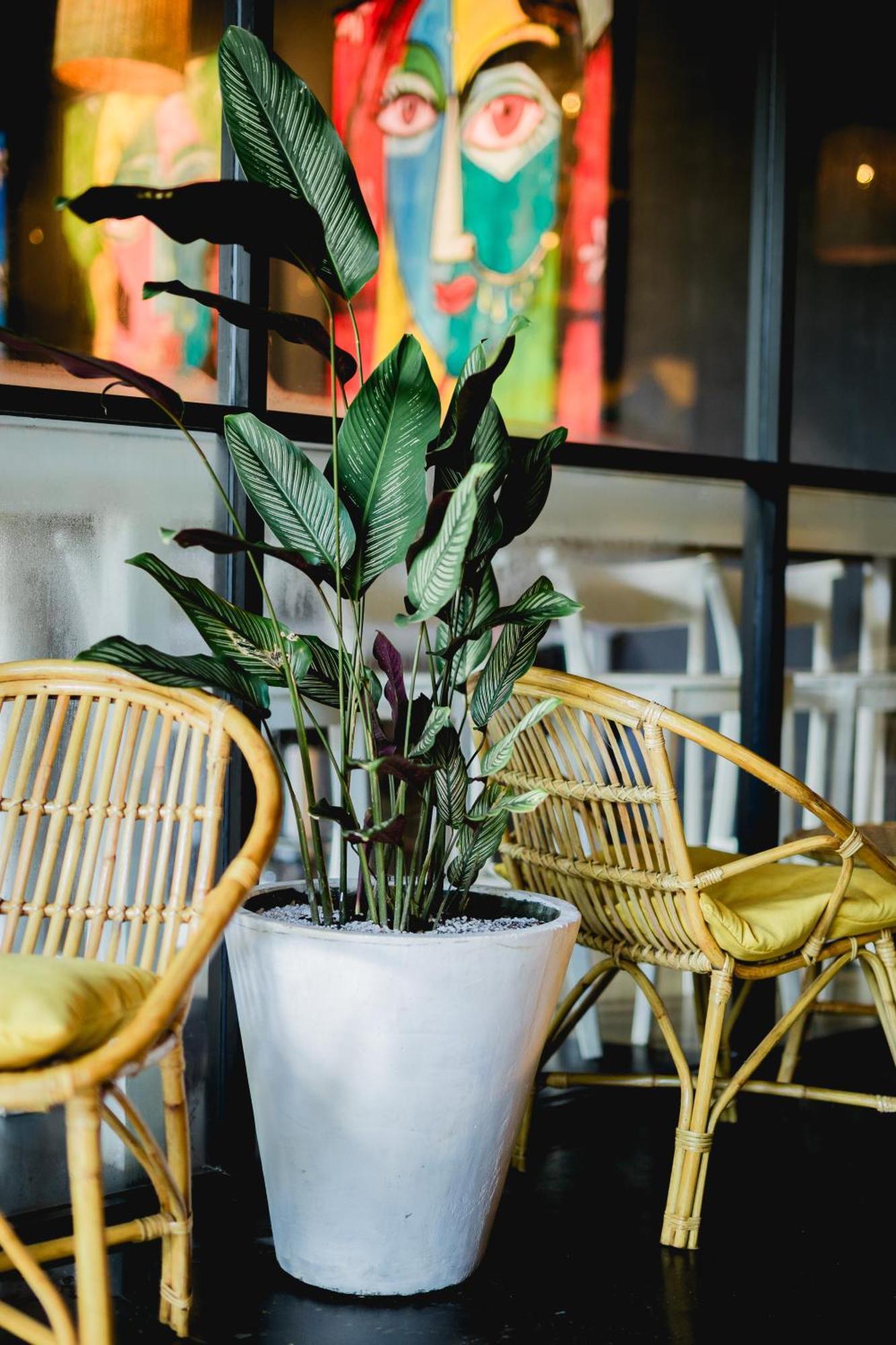 Sugar Hostel Weligama - Coliving & Coworking Exterior foto